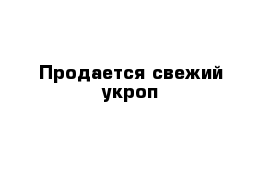 Продается свежий укроп